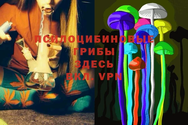герыч Карпинск